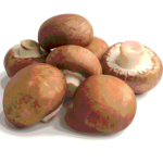 CHAMPIÑON PORTOBELLO KILO