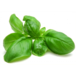 ALBAHACA KILO