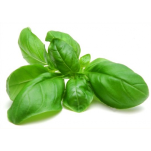 ALBAHACA KILO