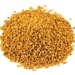 SEMILLA DE MOSTAZA ENT. KILO