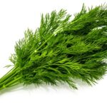 ENELDO FRESCO KILO